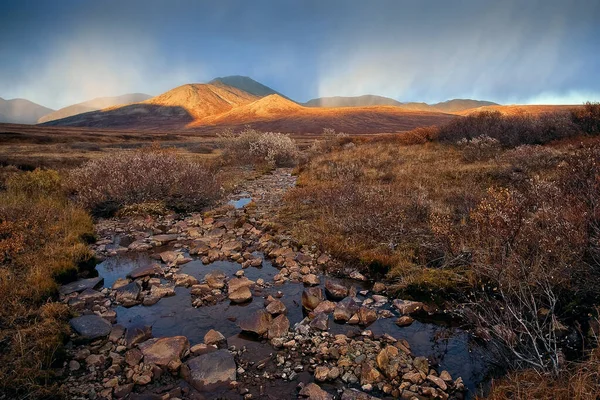 Autumn landscape. A creek in the tundra in a mountain valley. Far above the mountains, snow begins. The sun illuminates the mountains. Beautiful arctic nature. Golden Ridge, Chukotka, Siberia, Russia.