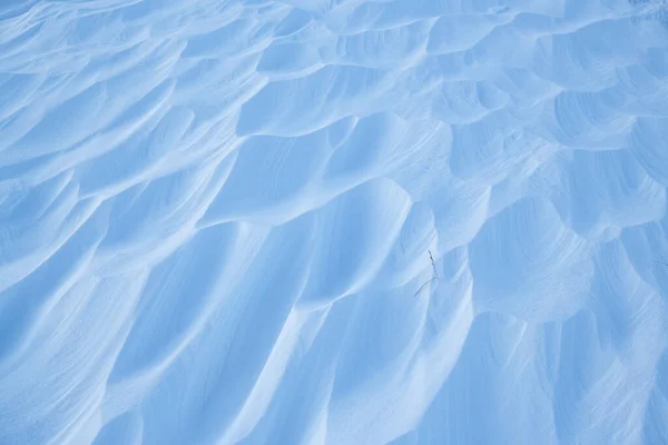 Snow texture. Wind sculpted patterns on snow surface. Wind in the tundra and in the mountains on the surface of the snow sculpts patterns and ridges (sastrugi). Arctic, Polar region. Winter background