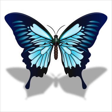 Mariposa de color hermosa de primavera