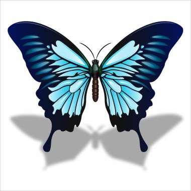 Mariposa de color hermosa de primavera