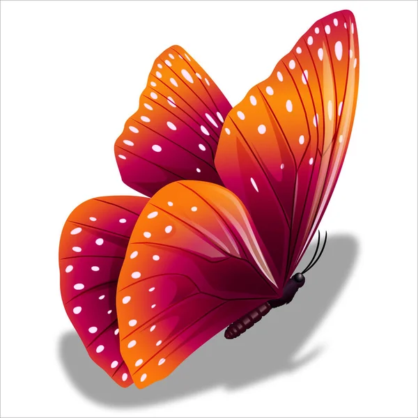 Mariposa Color Hermosa Primavera — Stockvector