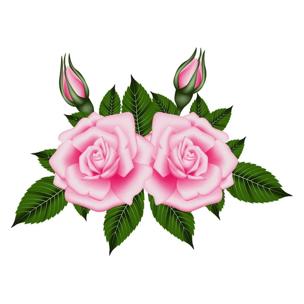 在透明的背景上 向量玫瑰花和花瓣 顶部视图 情人节和母亲节的背景 — 图库矢量图片