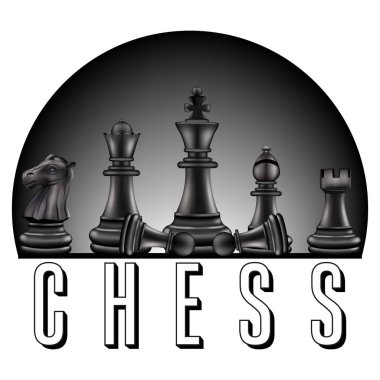 Uluslararası satranç günü kutlamaları, satranç taşları