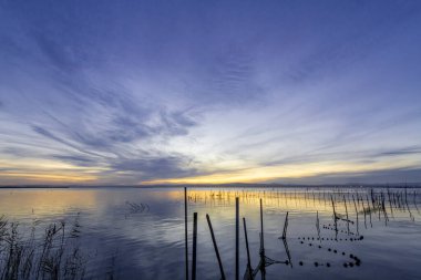 Gün batımının mavi saatinde La Albufera de Valencia 'da mavi ve altın tonlarıyla göl (İspanya))