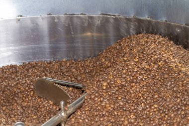 Kavrulmuş Robusta çeşnili kahve çekirdekleri kavrulmuş fırının çıkışında dairesel bir kabın içinde karıştırılıyor..