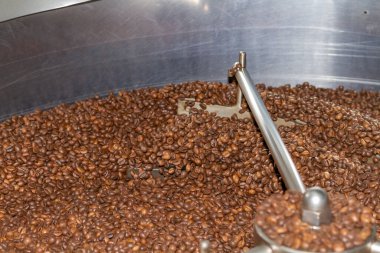 Kavrulmuş Robusta çeşnili kahve çekirdekleri kavrulmuş fırının çıkışında dairesel bir kabın içinde karıştırılıyor..