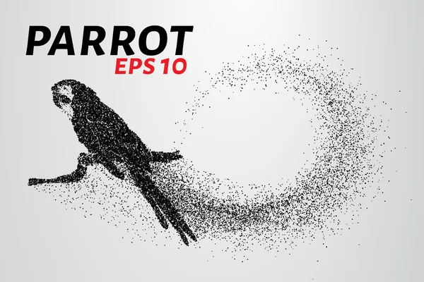 Papağan parçacıkların. Papağan küçük daireler yapılmış bir dalda oturuyor. Vektör çizim