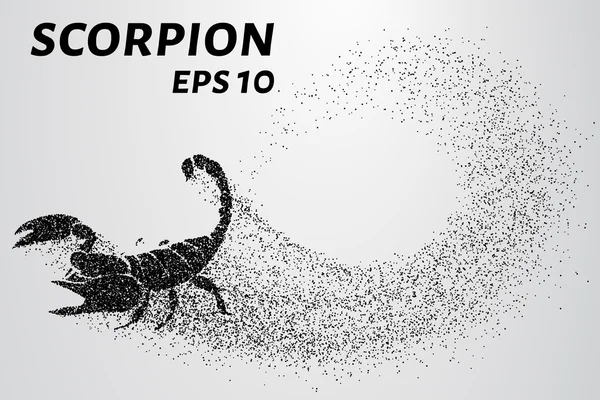 Skorpion der Teilchen. Skorpion besteht aus kleinen Kreisen. Vektorillustration — Stockvektor
