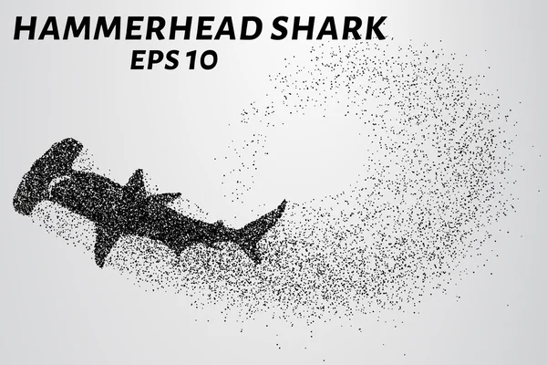 Saçılan çekiç köpekbalığı. Balık çekiç küçük daire oluşur. Vektör çizim