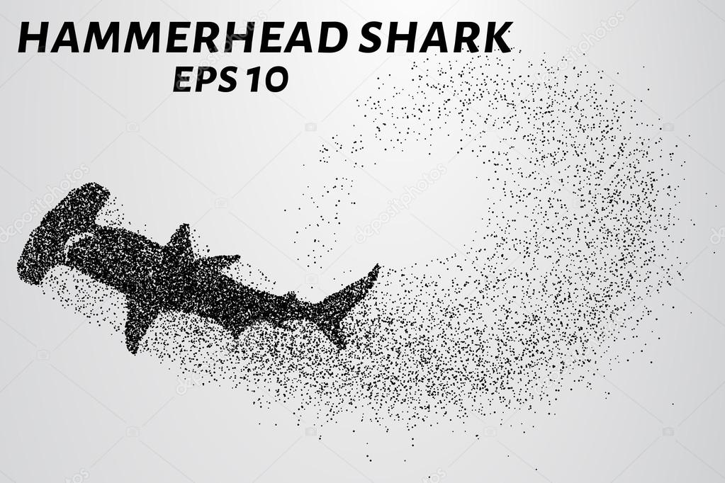 The hammerhead shark from the particles. Fish hammer consists of small circles.