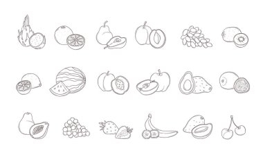 Doğal taze tropikal ve narenciye meyveleri çizilmiş. Vejetaryen, vejetaryen yemeği. Organik gıda ikonları ve sağlıklı beslenme. Çizgi vektörü koleksiyonu izole edilmiş illüstrasyon