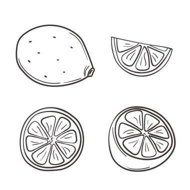 Elle çizilmiş taze sulu limon. Tam, yarımlar, C vitamini meyveleri. Beyaz arkaplanda izole edilmiş vektör çizimleri kümesi.