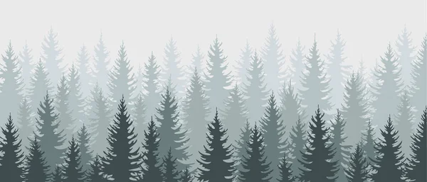Bosque Abeto Fondo Horizontal Silueta Árboles Siempreverdes Coníferas Niebla Mañana — Vector de stock