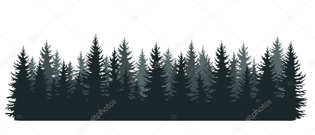 Fir forest silhouettes. Coniferous spruce trees horizontal background. Evergreen plants panorama. Isolated on white vector illustration in hand drawn style 