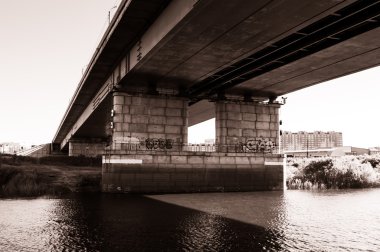 Tyumen siyah ve beyaz