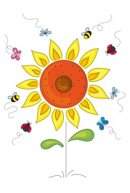 Böcekler çeken ayçiçeği