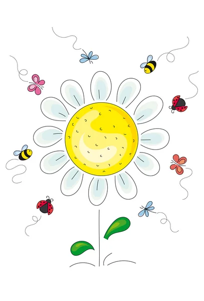 Flor de margarita atraer insectos — Archivo Imágenes Vectoriales