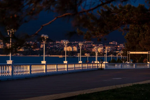 Batan güneş, Gelendzhik tatil beldesinin setinin balyalarını çok güzel ve çelişkili bir şekilde vurguluyor. Ön planda bir çam dalı var. Arka planda deniz ve karanlık — Stok fotoğraf