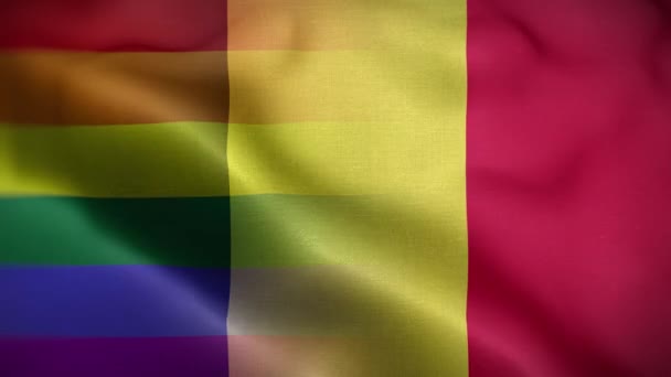 Lgbt Bélgica Bandera Loop Antecedentes — Vídeos de Stock