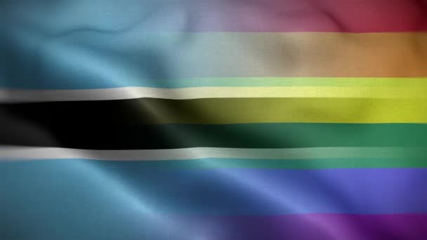 Lgbt Botswana Flag Loop Background — 비디오