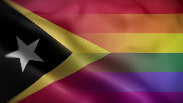 Lgbt Timor Oriental Bandera Loop Antecedentes — Vídeos de Stock