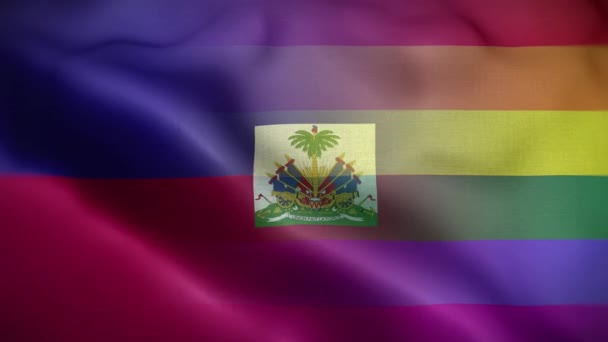 Hbtq Haiti Flagga Loop Bakgrund — Stockvideo