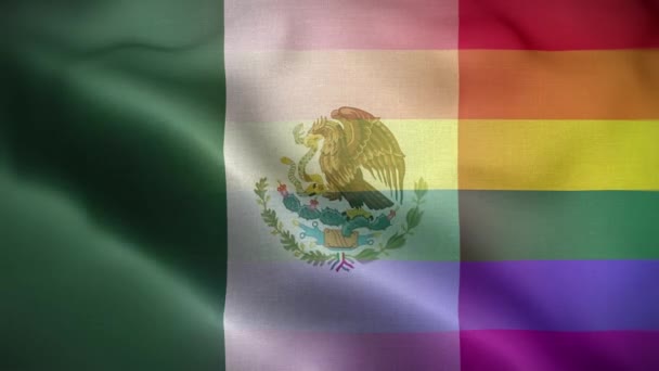 Antecedentes Del Lazo Bandera México Lgbt — Vídeos de Stock