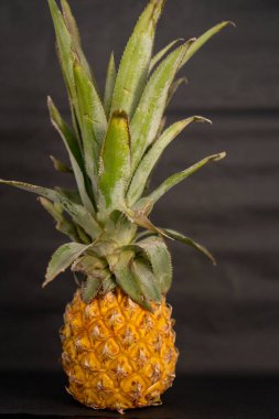 Yeşil yapraklı taze ananas.