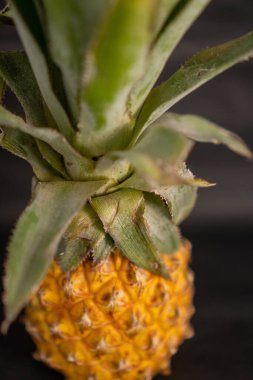 Yeşil yapraklı taze ananas.