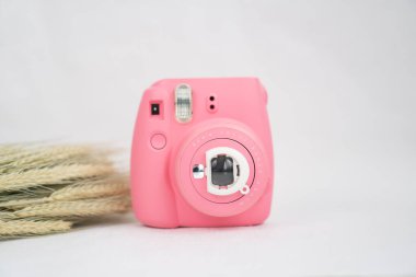 Beyaz arka planda pembe modern kamera ve kuru bir çiçek filizi.
