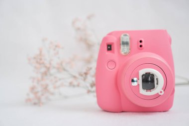 Beyaz arka planda pembe modern kamera ve kuru bir çiçek filizi.