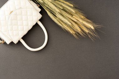 Altın işlemeli küçük modaya uygun beyaz çanta ve gri arka planda bir buğday buketi.