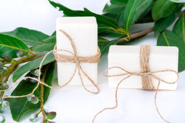 Kozmetik düz yatak: beyaz arka planda beyaz sabun ve yeşil bir filiz 