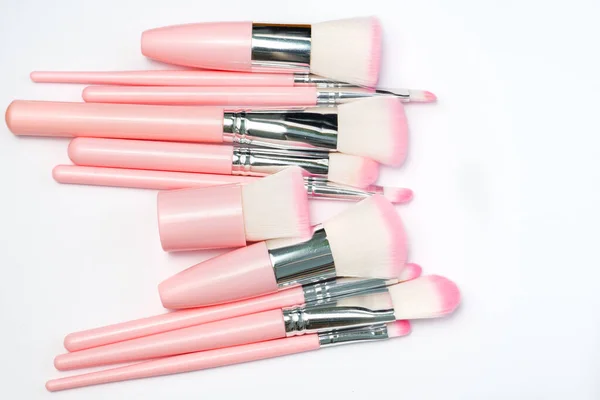 一套专业的 自然的化妆刷 色彩艳丽的粉红粉刷 底色为银色和粉色 — 图库照片