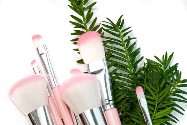 Set Professional Natural Makeup Brushes Luxury Pink Make Brushes Silver — Stock Photo, Image