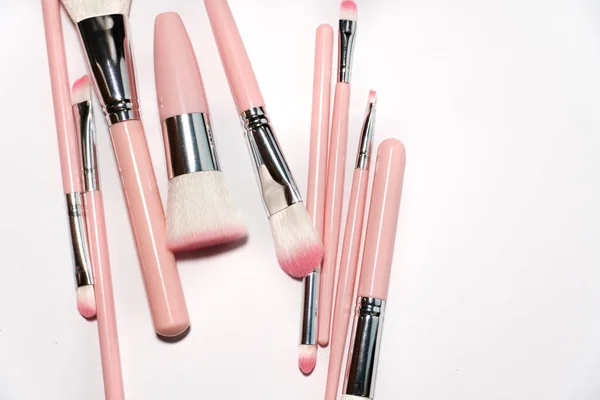 Set Professional Natural Makeup Brushes Luxury Pink Make Brushes Silver — Stock Photo, Image