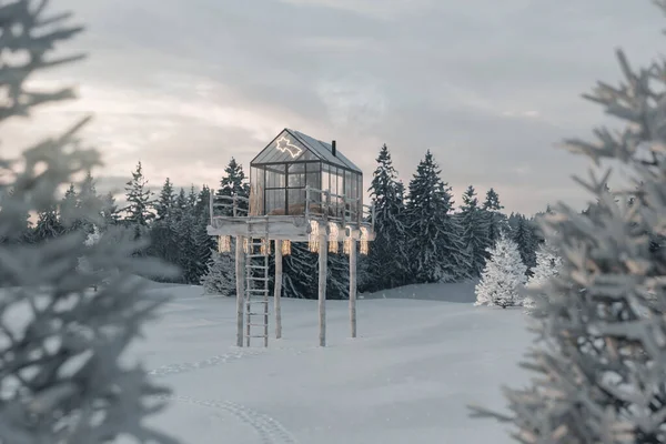 Darstellung Einer Gemütlichen Hütte Mit Glaspaneelen Auf Einer Aussichtsplattform Wald — Stockfoto