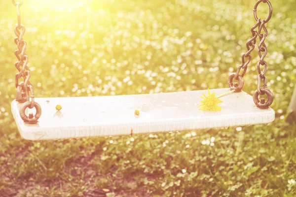 Verlaten schommel in warme zonnige licht met bloemen in de lente seizoen — Stockfoto