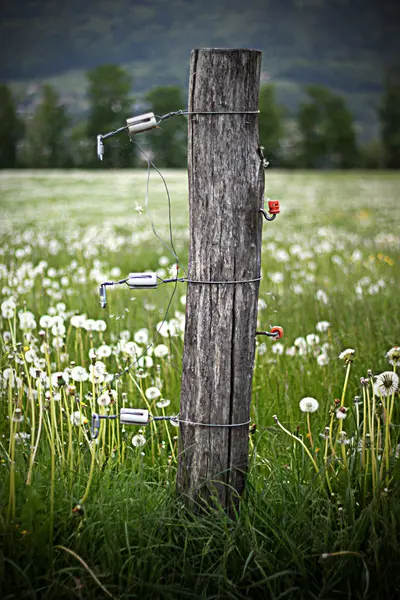 Zaunpfahl auf dem Land — Stockfoto