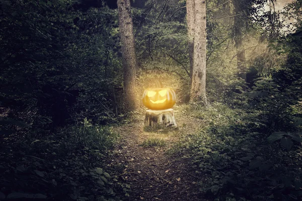 Błyszczący halloween dynia Jack-o latarnia stoi na pniu — Zdjęcie stockowe