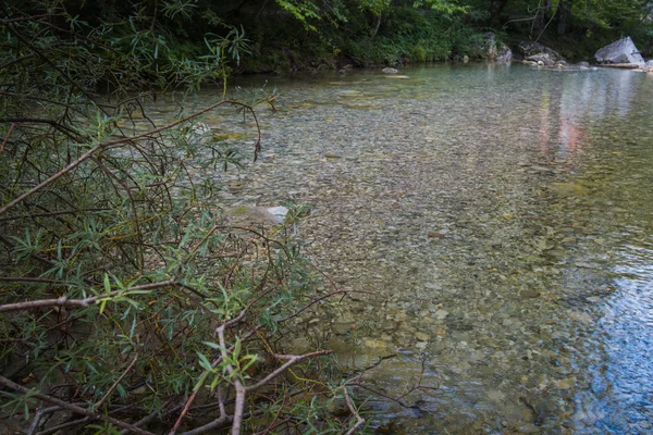 水晶翡翠河. — 图库照片