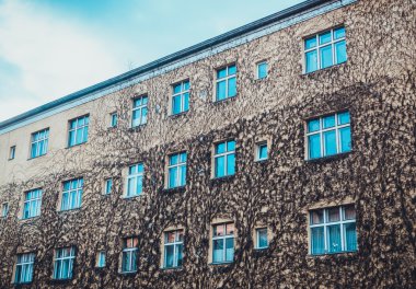 Dörtgen pencereli tuğla binanın tek yüzü açık havada kuru sarmaşıklarla kaplı.