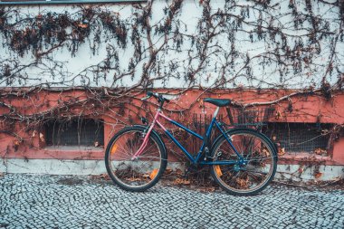 Tek mavi ve pembe bisiklet küçük pencereli duvara yaslanıyor ve kaldırım taşı sokağında kurumuş asmalar var.