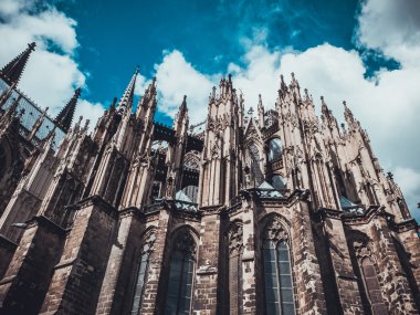 Gotik kolonya kubbesinin detaylı görüntüsü