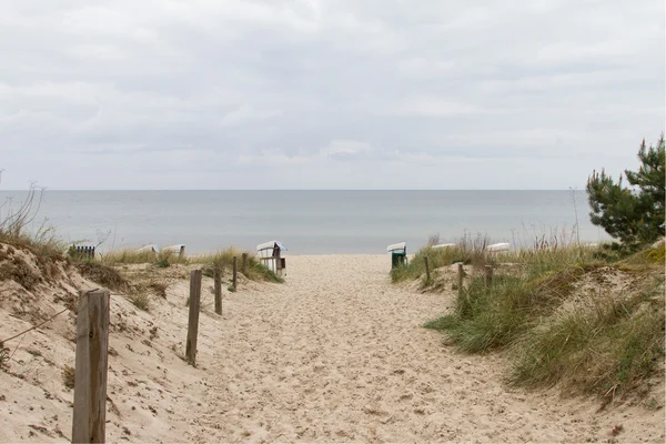 Maneira Praia Mar Baltico Alemanha — Fotografia de Stock