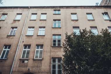 Low Rise Mimari Dış Görünümü Lekeli Kahverengi Taş Cephesi ile Low Rise Residential Facade Avludan Lush Evergreen Tree, Yukarı Bakış Gri Bulutlu Gökyüzüne