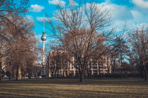 秋天落日落日时的城市公园景观 以德国柏林云天为背景的电视转播塔 — 图库照片