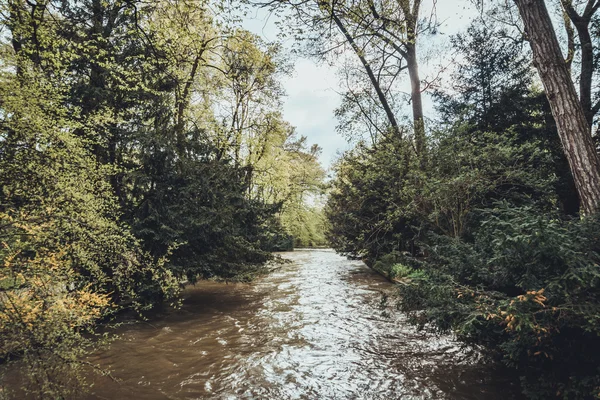 Ciemna Cicha Rzeka Płynie Przez Piękny Las Pogodne Wiosenne Popołudnie — Zdjęcie stockowe