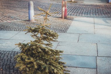 Berlin 'de Noel' den sonra Noel ağacı.