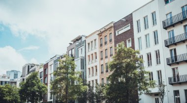 Apartman binaları önünde yaprak döken ağaçlar